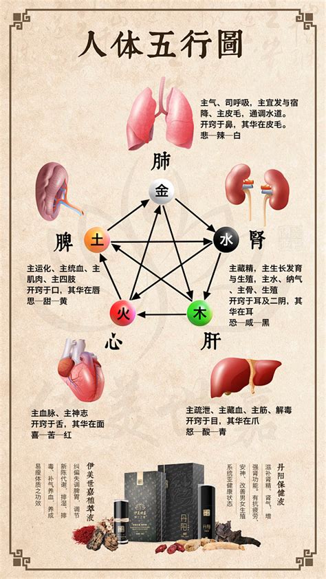 五行味道|五味（中医基础术语）